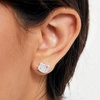 image:imageSanrio Hello Kitty Womens Clear Crystal Stud Earrings  Silver Plated Hello Kitty Earrings Officially Licensed