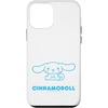 iPhone 12 mini