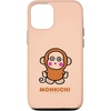 iPhone 12/12 Pro