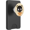 Magnetic PopWallet